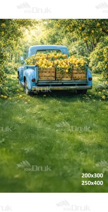 Tło fotograficzne „Retro samochód z cytrynami w sadzie” | 3979
